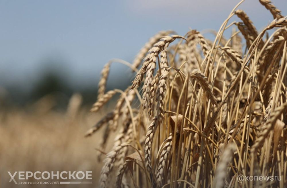 ������ ����� � 2023 ���� ��������� ������ ����������� �� 5 ��� � ��������