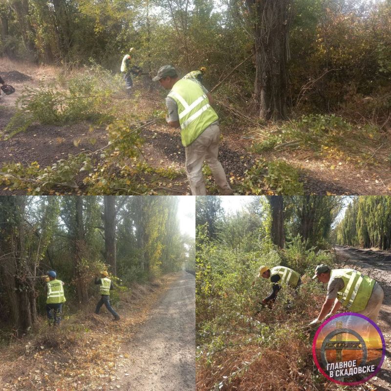 �� ����������� ���������� ��������� ������� �����������