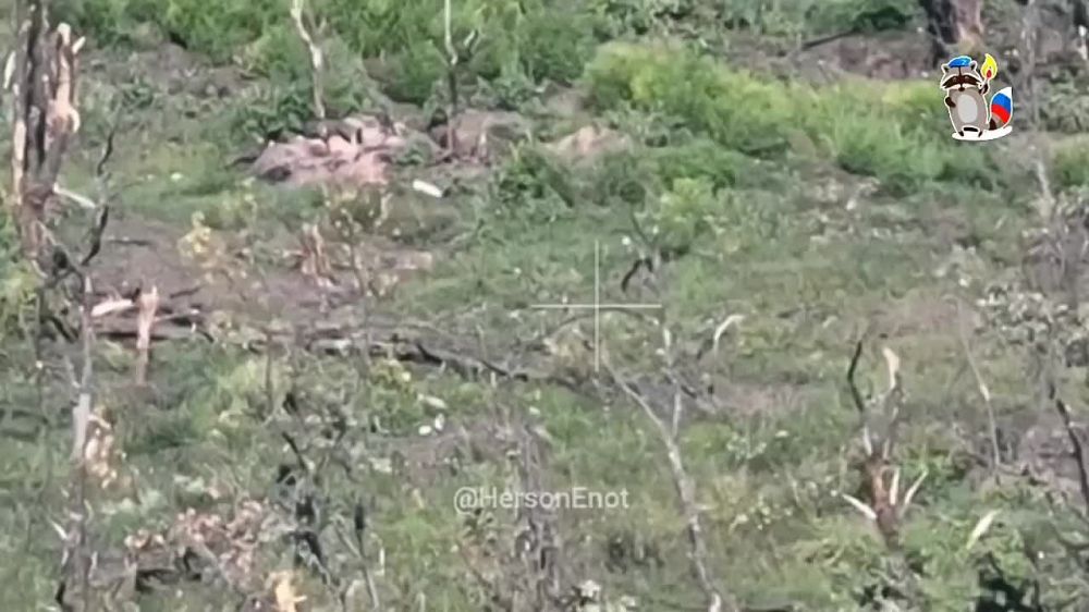 ���� �� �������: ���� � ����� ����������� � �������� �������� ���� ������ ������ ����� ������� ����� ����