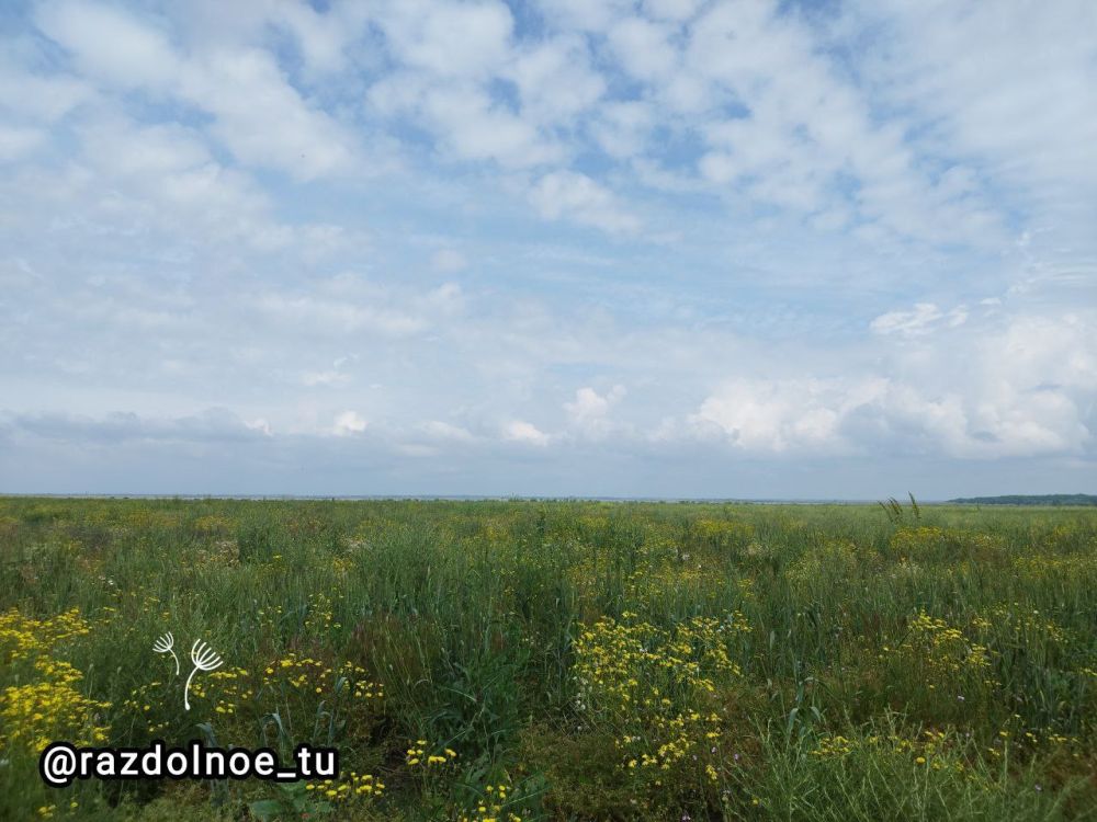 ������ ����, ����������!. ������� ���� � ��� ���������, ����� ��� �������� � ��� ����������� ���� �������� �������� � �������� ����� �������� �������