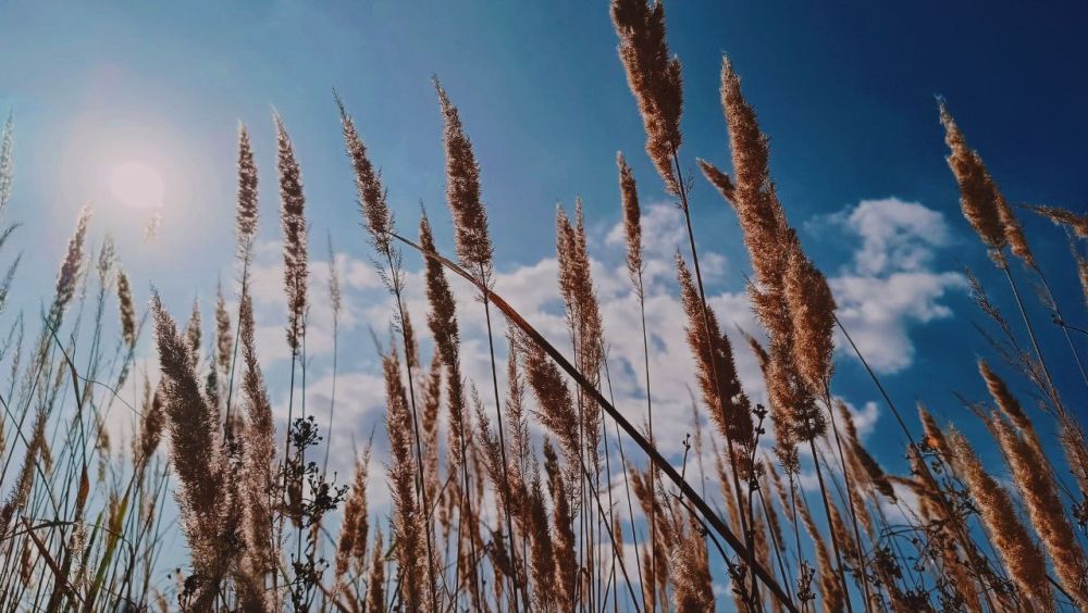 ������ ����, �������!. @VGA_Kakhovka