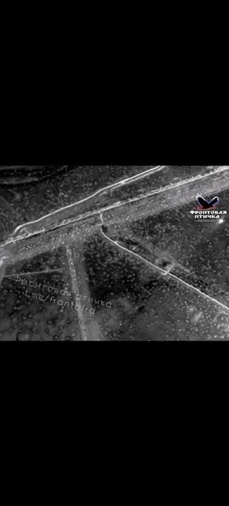 ����������� ����������� ��������/ ��������