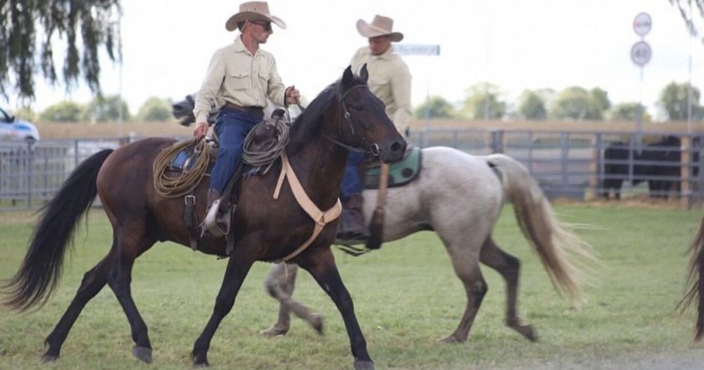 ������ ��������� �������� ����������