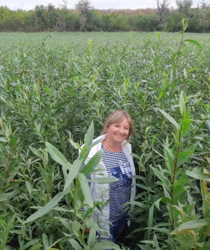 ��� ������ ������� ��� ������ ��� ���������� �������������