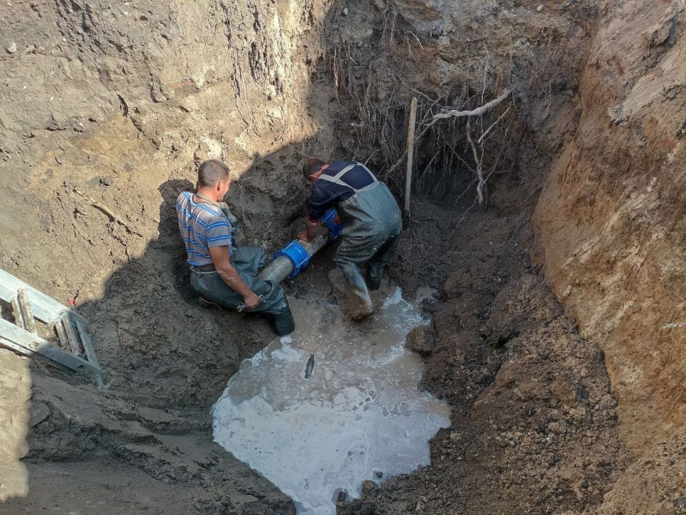 � ���� ����������� ������������ �� ���������� ��������� ������ �� ������������� �����������