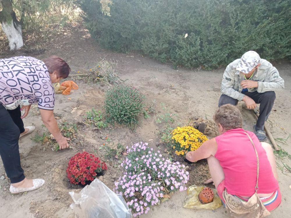 �������� ����� ������ � ����� ������ ���� ���������� ������������ �� ������ ��������� �������� ���