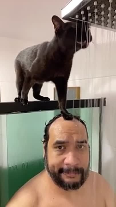 ������� ��� ������.... ����������� ���� �������, ��� ��������� �������, ��� ��������� ��������