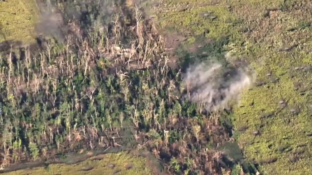 ������� ������ ������������� ������� ���������� �� ����������� �����������