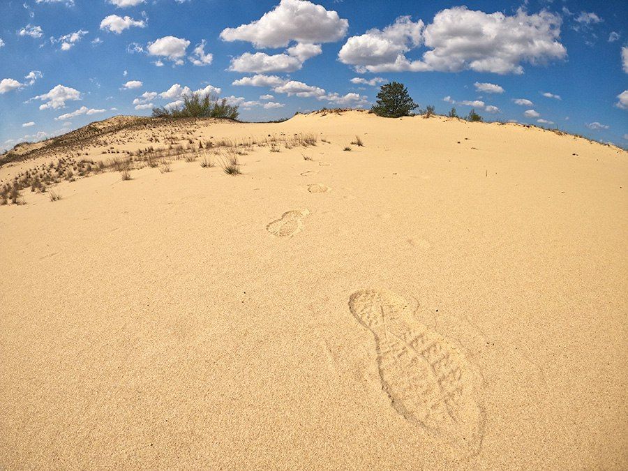 ���������� ������� ���������� ��������� �������� ������� �� ������������� ��������-�������������