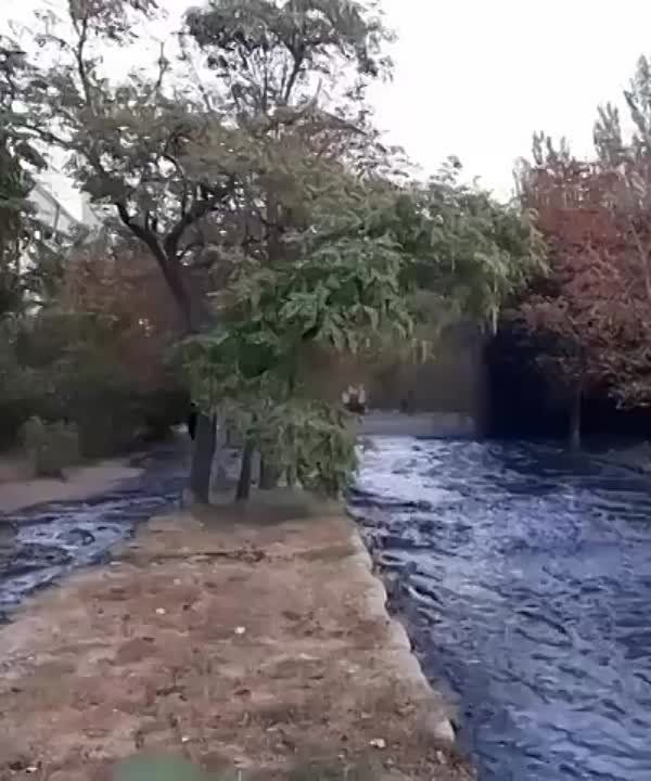 � ����������� ��������� � ������� 4 ������� �������� �����������, � ������� ���� �������� ������� �������������� ������������ �� ����� ������