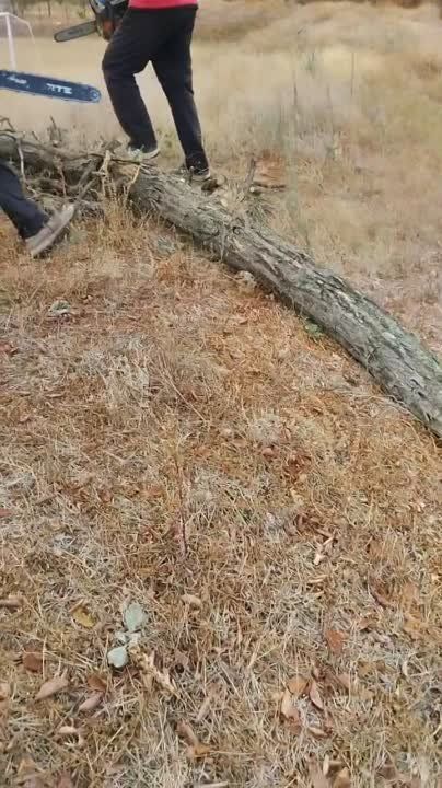 ������� ������� ��������������� ������