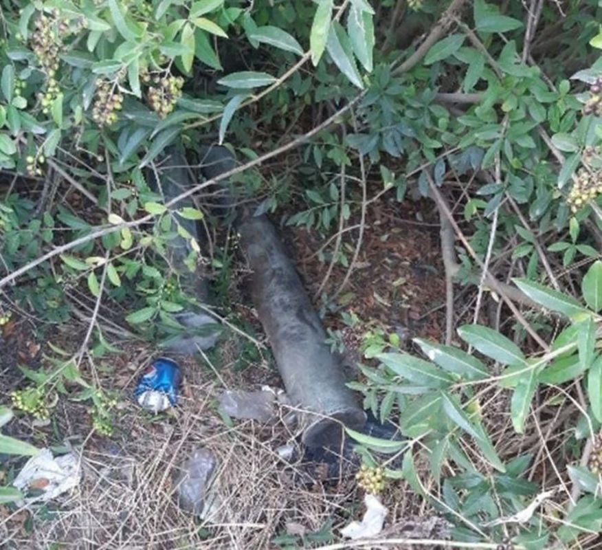 ����� �������������� ����� ������ �� ��������� � ����������� �����