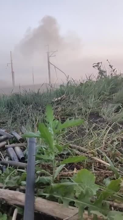 ��� �� �������� ������ �� ���������� �����������