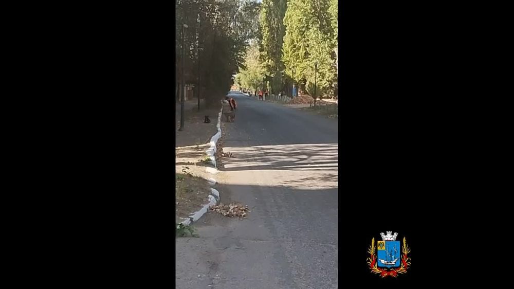 ������ ������ �� ������������ ���� ��� ����������