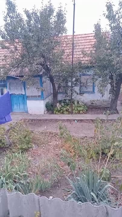 ������������ ��������������� ������