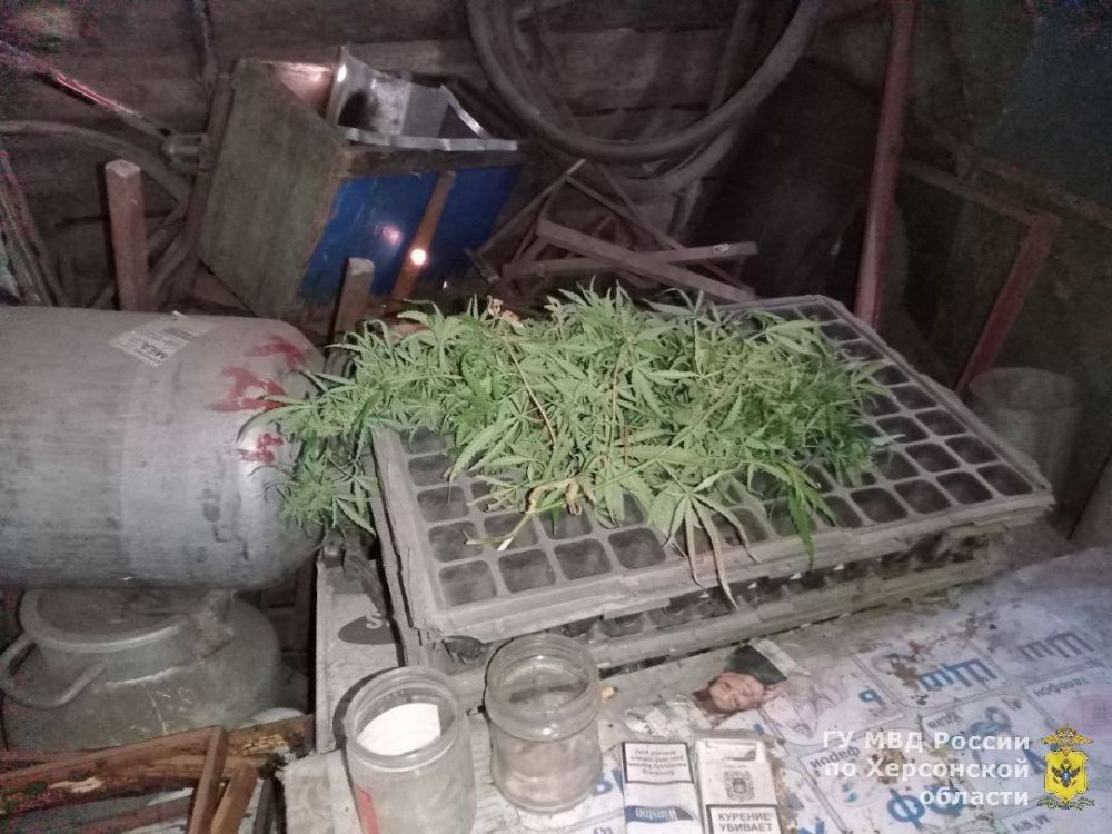 � ��������������� ������ ����������� ������ � �������� ������ ������� � ���������