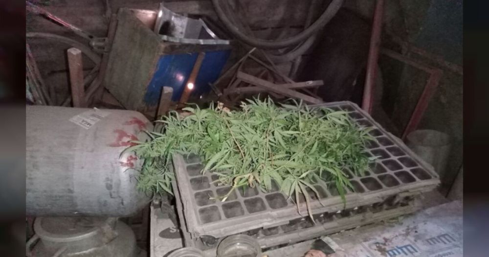 �������� ������ ���������������� ������ ��������� ���� ��������