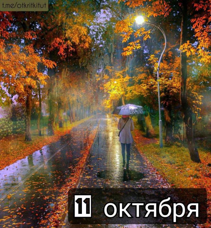 ��������� 11 �������. ������������� ���� �������