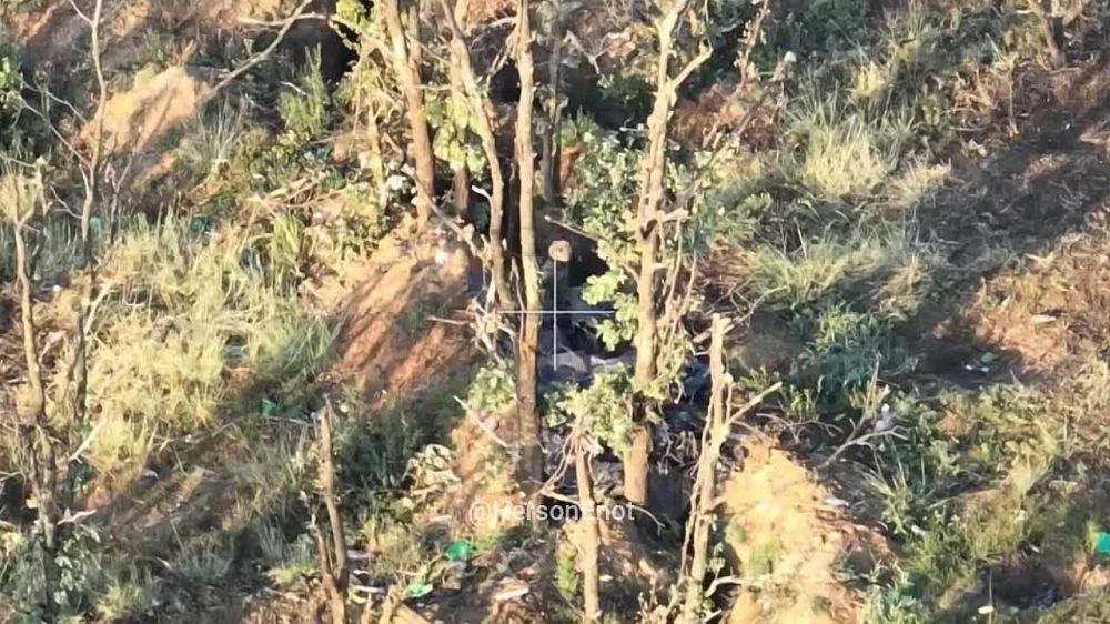 ���� �� �������: ������� � ���, ��� "�����" ���������� ����������� ��� ������ �� ���� ��������, ��� ������ ���� ������� � �������� ������� ���