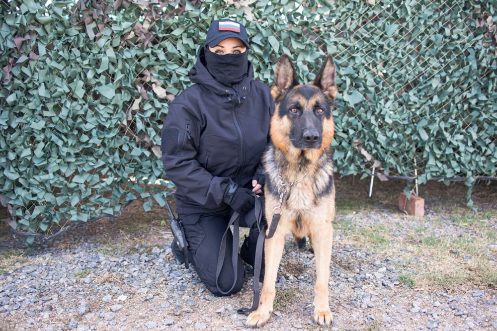 � ���������� ������� ��������� ������ ������� ����������� ���������� ������ � ���� �������� ������