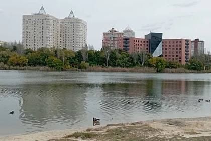 � ��� ���������� � ��������� ���������� ���� ��������