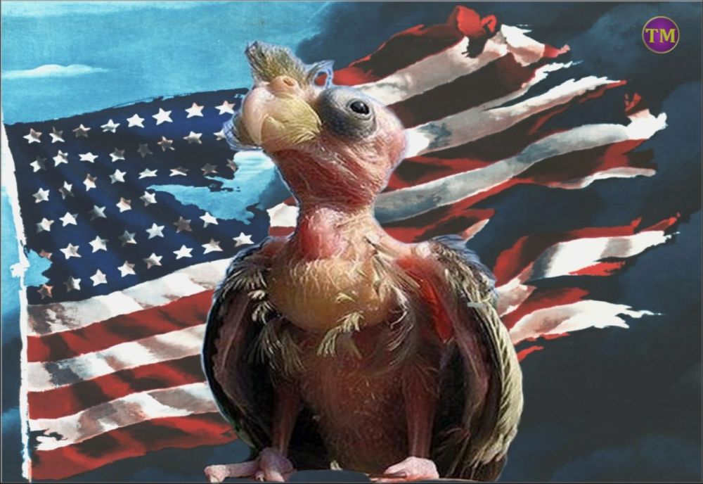 ������� �� �������� �����: ���� ���� ����� � � Pax Americana �����������