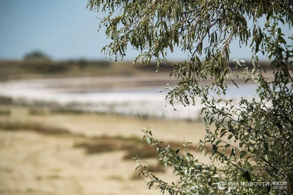 �������� ��������� ���������� ������� ������������ ���� "�����" ����� ��������� ����