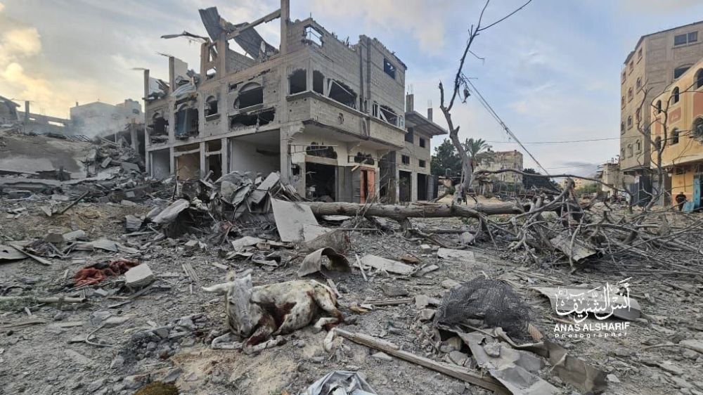 ����� ������������ ��������, ��� ���� ���� ���������, ��������� �������� �������� ������� � ���