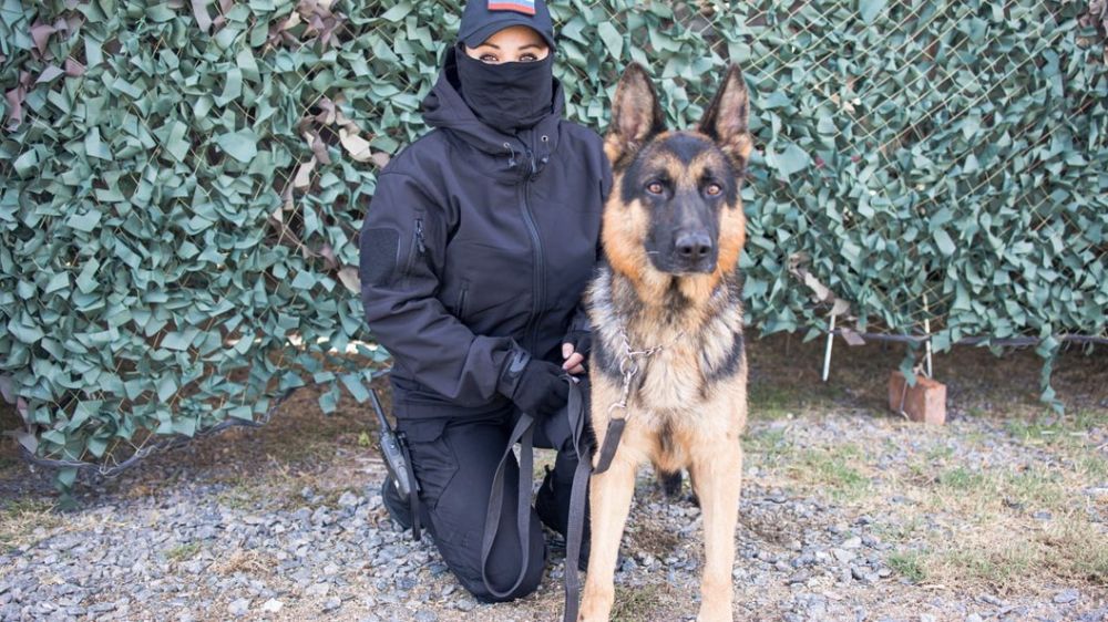 �������� ���������� ���������� � ���� �������� ����������