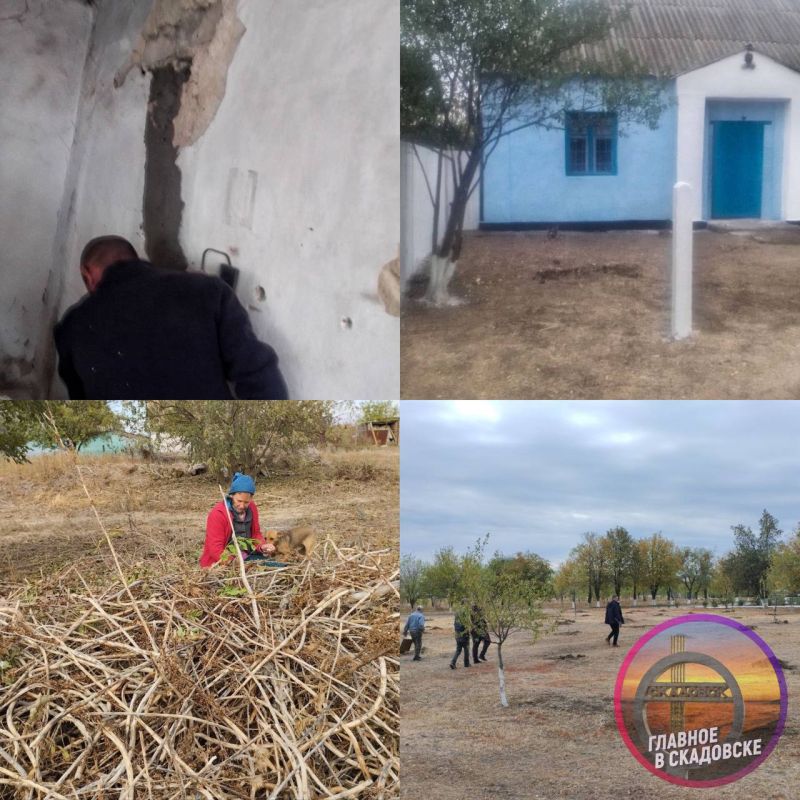 � ���������� ������ ������ ������ �� ��������������� ���