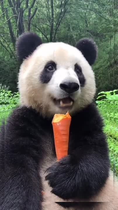 ������ ����, �����������!. ������� �������� ������, ��������� � ������������ �����! ����� ���� ��������� ���� ���������...