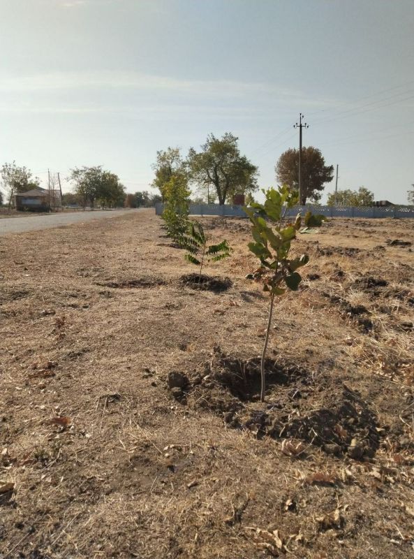 ������ �� ��������������� � ���� ������