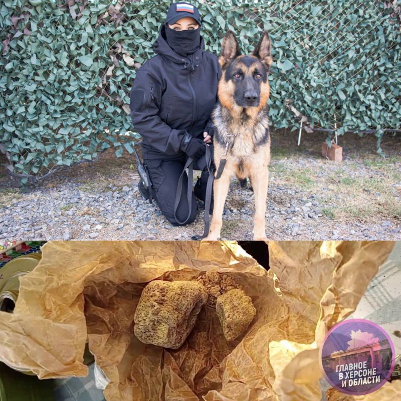 ����������� ��� �� ������ ������ ����� ���������������� ���������� ������ � ���� � ������ ��������������