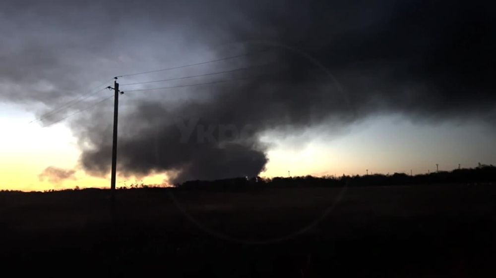 ����� �����: � ������ ���������� ������ ���������� ��������