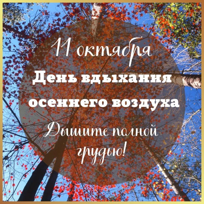 ���� �������� �������� �������