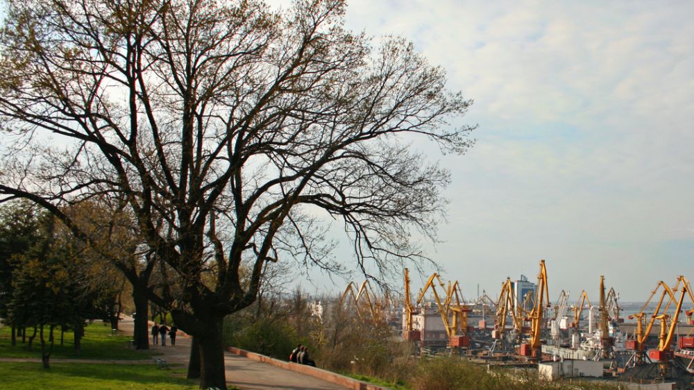 ������ ���� � �������� ������: ��� ������� �������� ���� ����������� ������ �� �������� �������