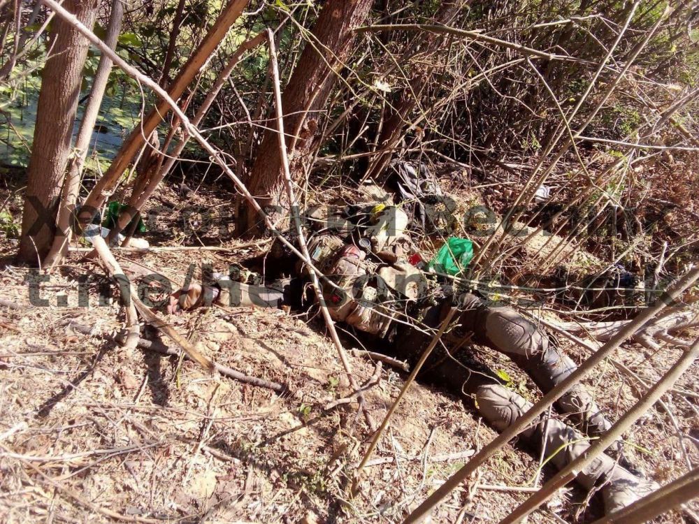 ����� � ���������� �������� ��������� ������������ ����������� ����� "�����" �� ���������� ����������� ��������� ������� ������� ���������� �� ������� ������� �������