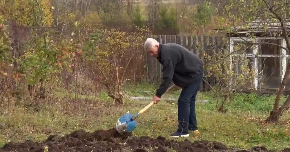 �������� �������� ������� ����������� ���������� ������������ ���� ���