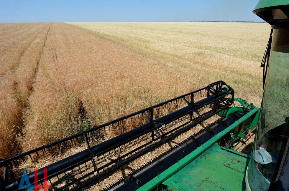 ���, ���, ����������� �������, ���������� �������