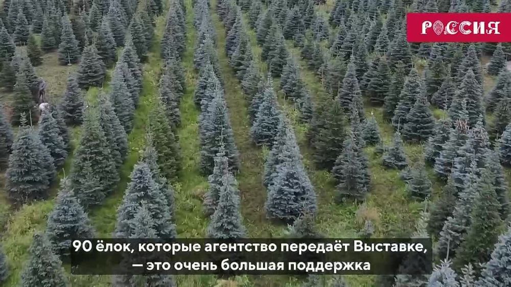 �� ����� ���������� ������������� ��������-������ "������" ������� ����� ���� ������� 90 ����