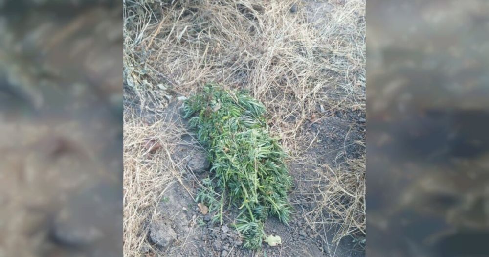 ������ ���� ����������� ������ ������ ��� ������ ���� ����� �������