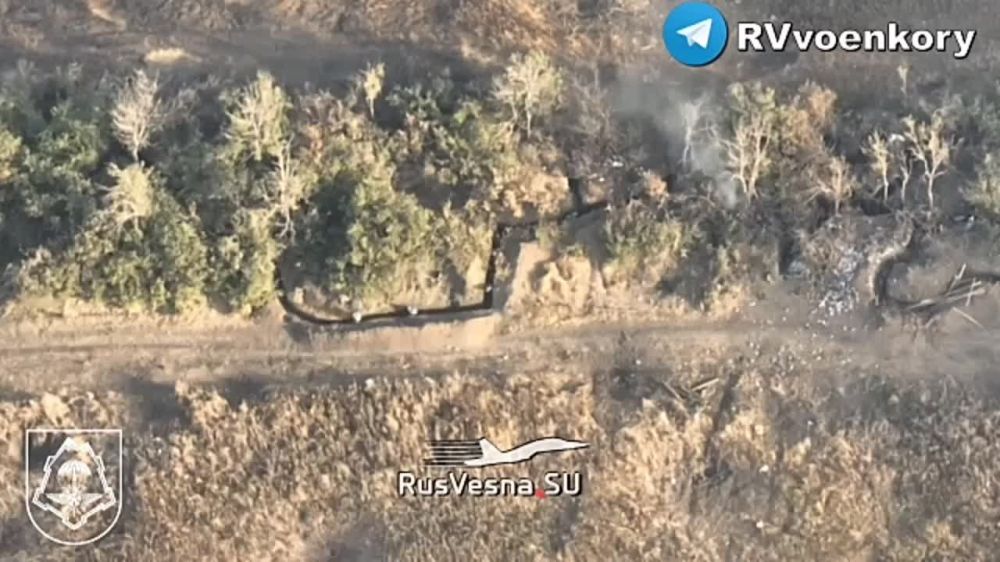 ����������� ����� � ��������: ������� � 42 ������� ���������� ��������� ������ ���