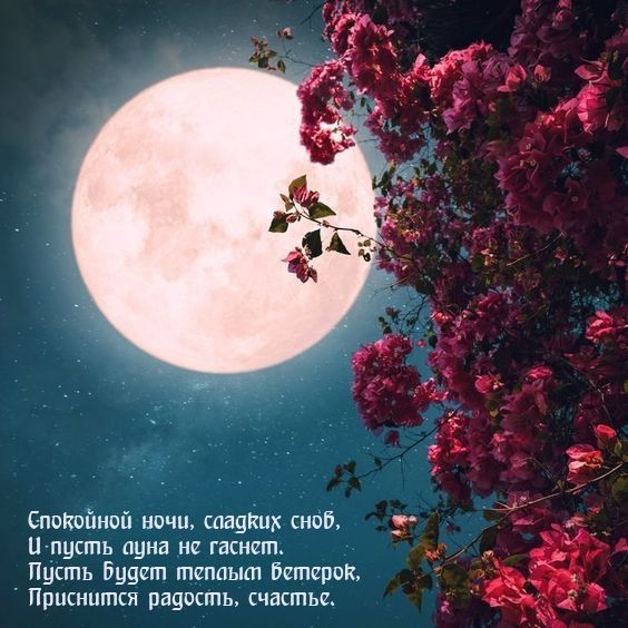 ������ ����. ������ �������� ������ ���������� � ������� �� ������, � ����� ������ ����������. ��� �������. ����������� �� +10 ����� �� +20 ����