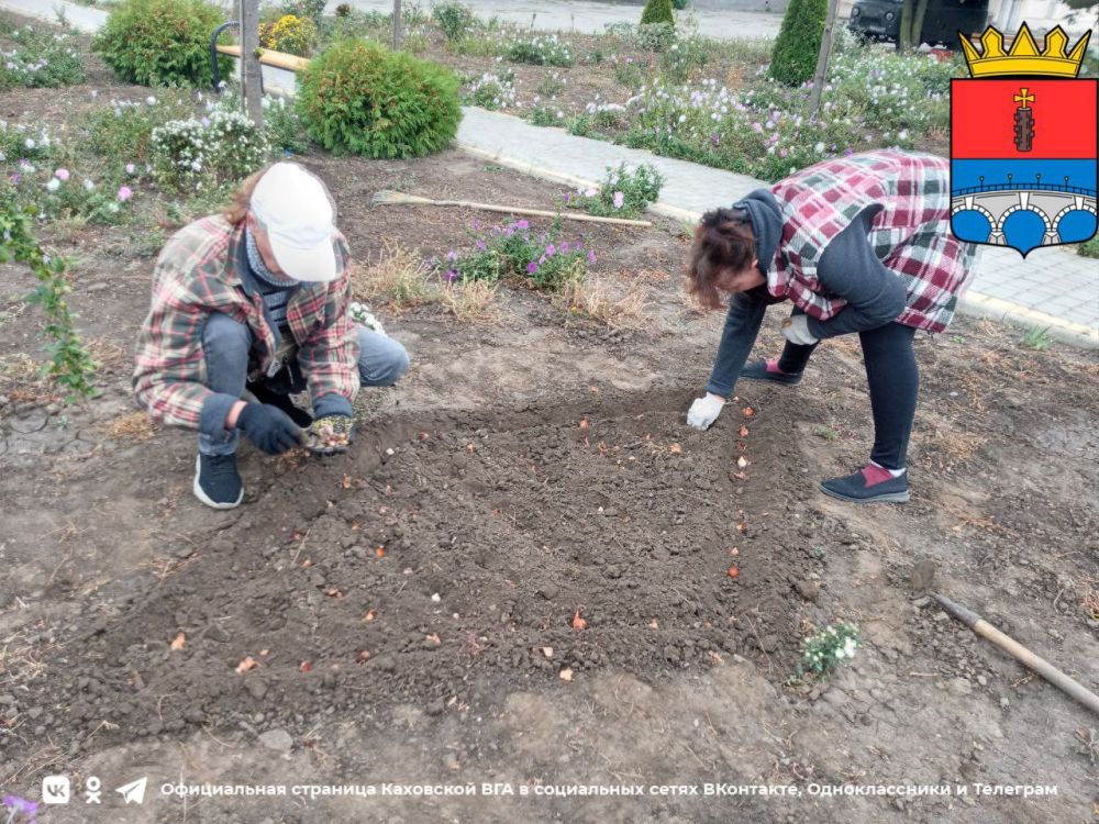 ������������ ������� ��������������� ���������� � ��������������