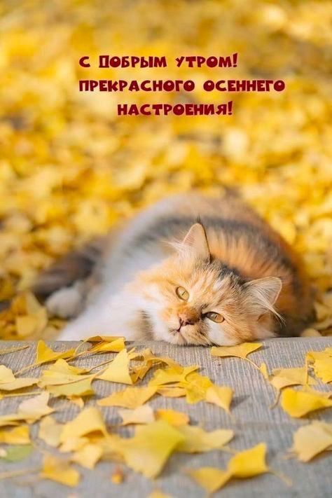 � ������ �����, �����������!