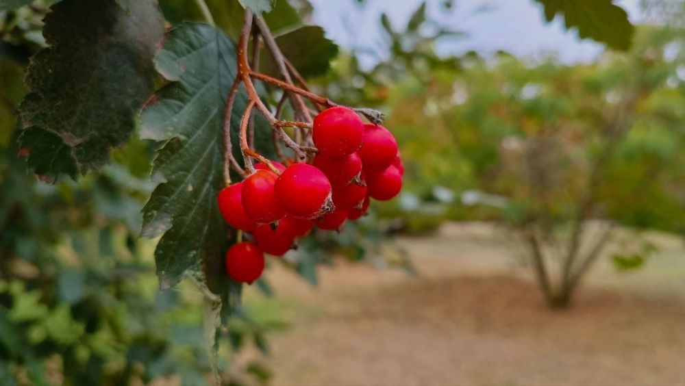 ������ ����, �������!. @VGA_Kakhovka