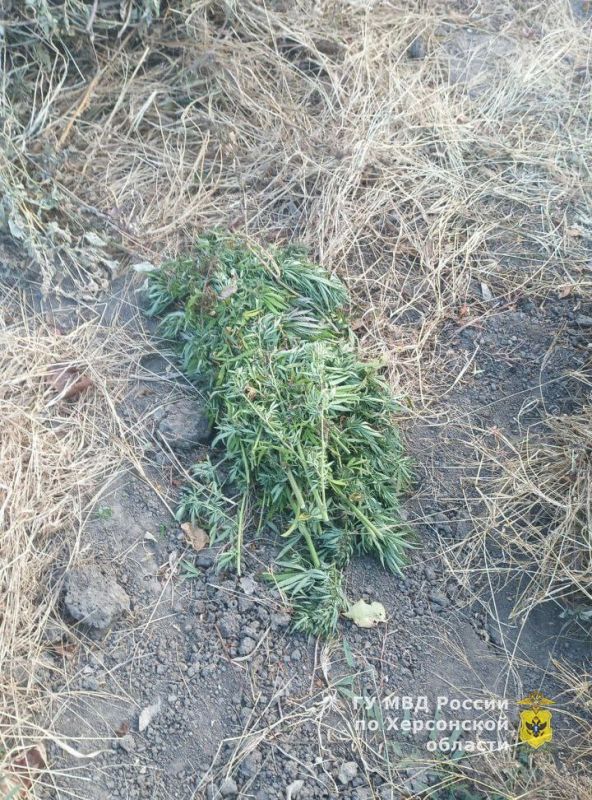 � ���������� ������ ���������� ������� ���������� � �������� ������ ���������