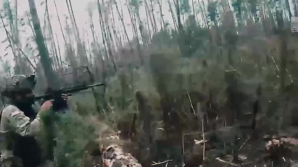 ������ ������� ������� ������* ���� 22 ������ ������ � ���������� ���������� �������