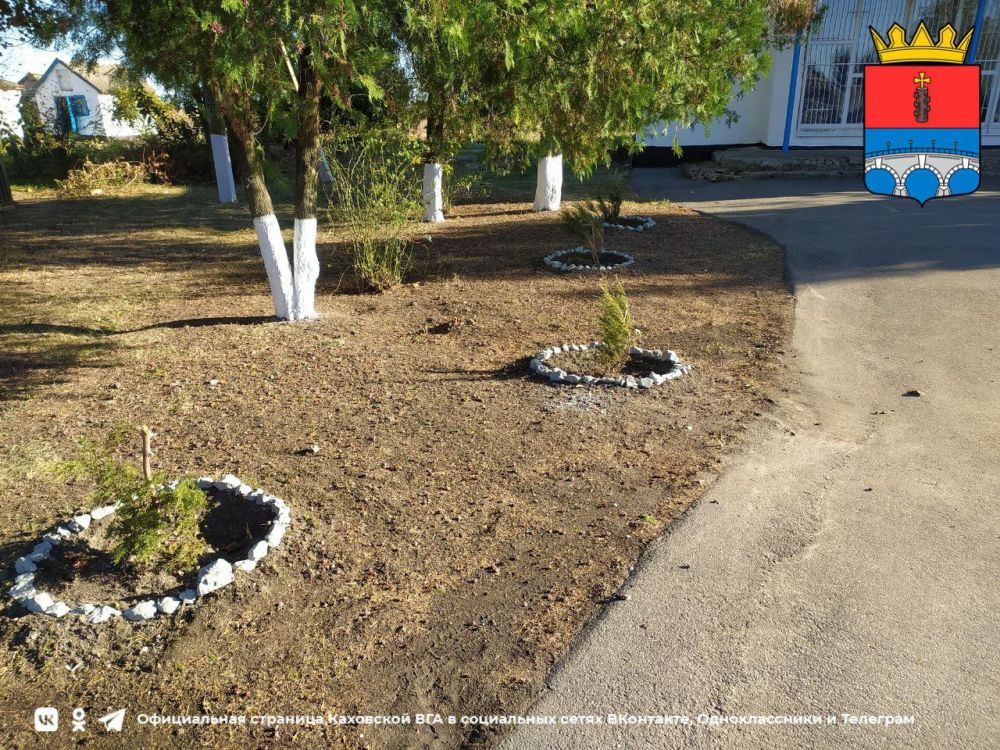 � ������ ��������� ������� �������: ���������� �� �������� ����-����