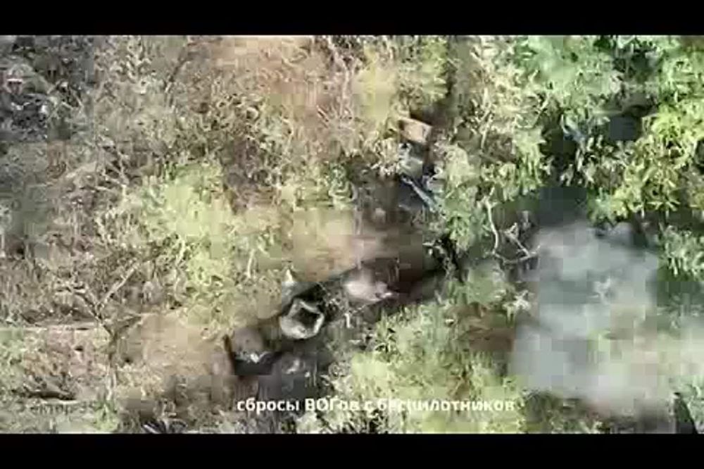 ���� ����� ����� � ������ ��������, ��������� � ��������, �� ������ ������������ ���� ��� ������ ���������� ������� �� ������������� ����������